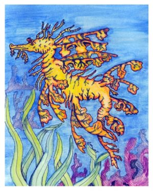 Leafy Sea Dragon painting artwork