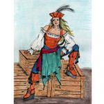 Pirate Woman painting artwork